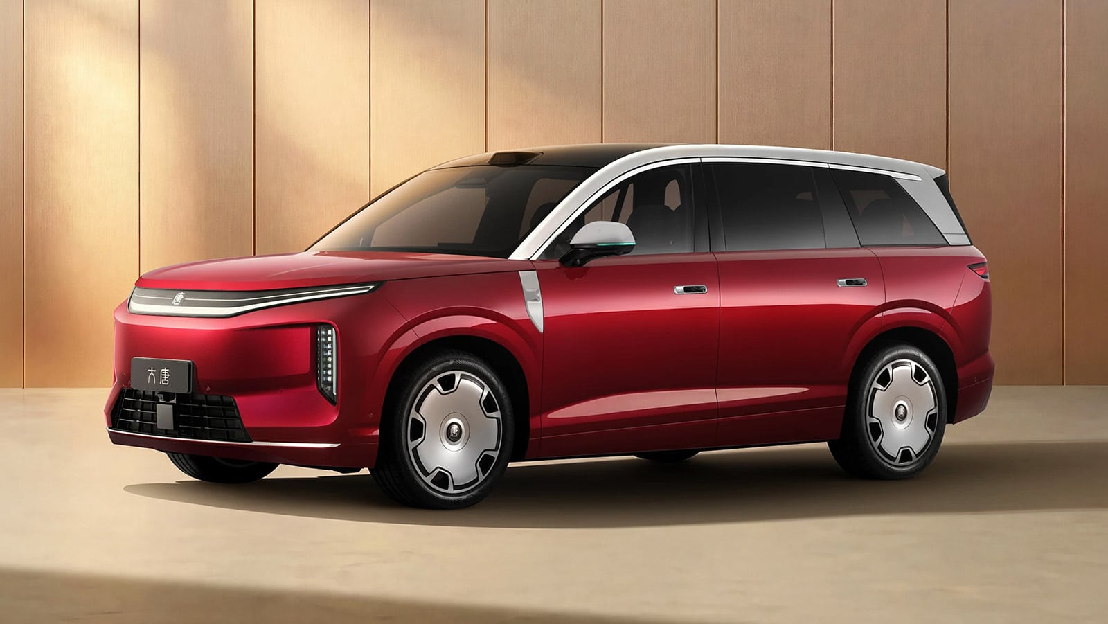 Datang EV — front three-quarter, launch livery